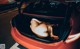 A naked woman sitting in the trunk of a red car.