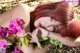 A woman laying on the ground next to a bunch of flowers.